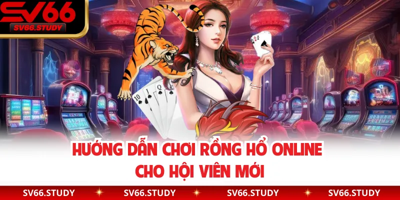 Hướng dẫn chơi Rồng Hổ Online cho hội viên mới
